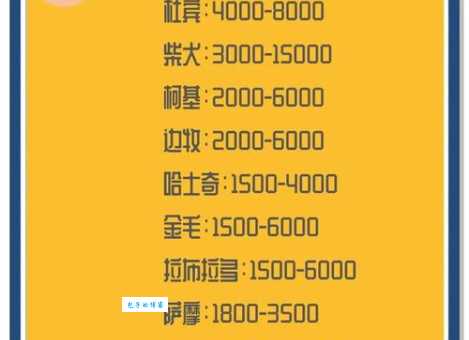 威斯拉犬价格及购买注意事项，避免上当受骗
