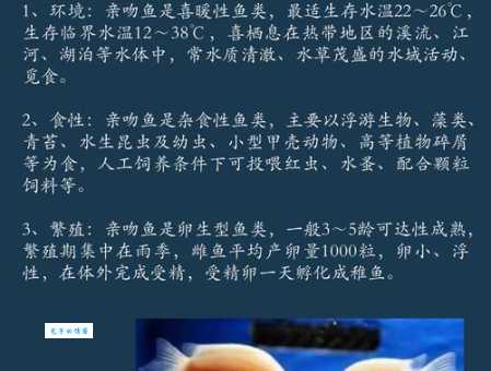 亲吻鱼价格及购买渠道：选购指南与注意事项
