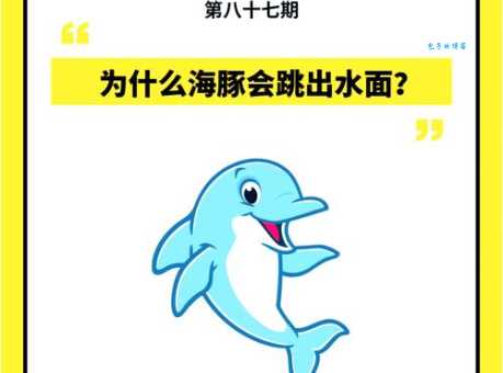 粉红豚是什么意思？详解“粉红豚”一词的起源和含义