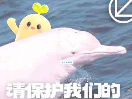 粉红豚是什么意思？详解“粉红豚”一词的起源和含义