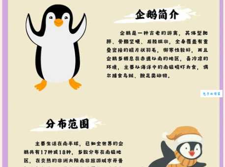 企鹅是哺乳动物吗？用科学知识告诉你答案！