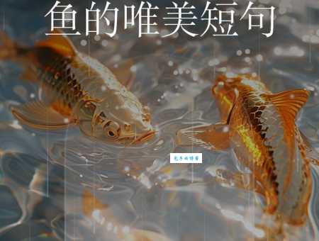 金鱼只有七秒记忆？科学家研究告诉你答案！