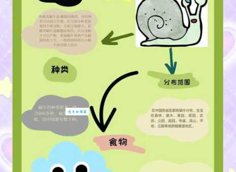 深入了解蜗牛习性：蜗牛是怎样生存的？