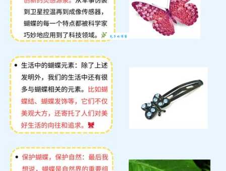 蝴蝶的寻蜜之旅：嗅觉、触觉和视觉的完美配合