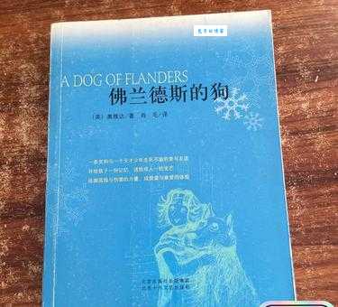 佛兰德斯的狗：感人故事与游戏改编介绍