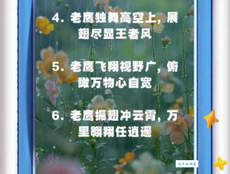 老鹰能飞多高？深度解析老鹰的飞行能力