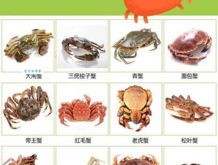 什么是河蟹？河蟹的网络含义及现实意义