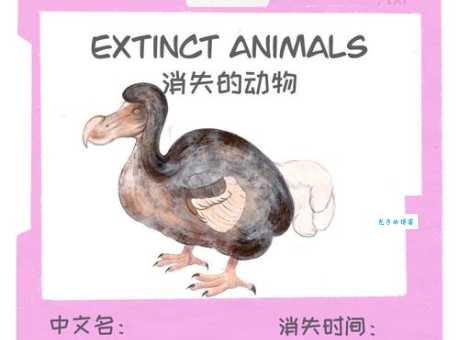 渡渡鸟：灭绝的巨鸟，为何消失的如此彻底？