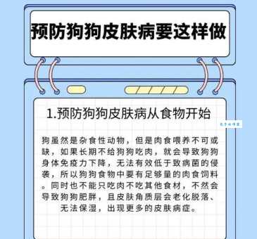 小白熊犬的常见疾病有哪些？如何预防和护理？
