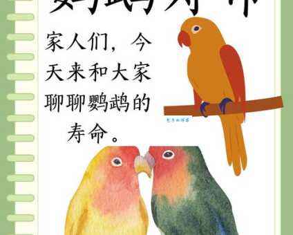 想知道鸟类能活多久吗？带你了解寿命最长的鸟类排名