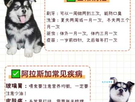 了解雪橇犬：性格特点和饲养指南