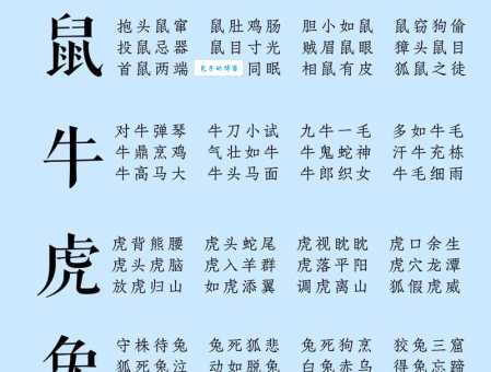 前呼后拥代表什么生肖？趣味谜题等你解答！