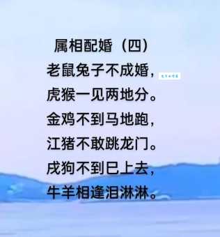 解密江河湖海任我行，它指的是什么生肖？