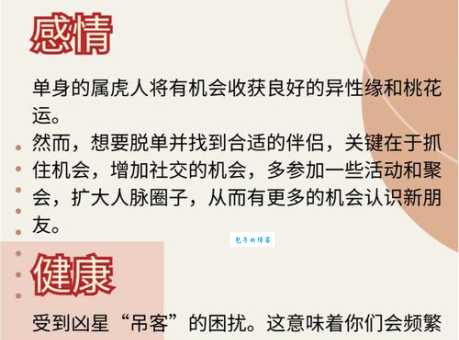 想知道虎年后面的生肖？兔年性格及运势预测