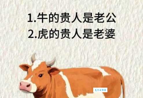 揭秘四大才子真实生肖：龙虎马牛还是另有其人？