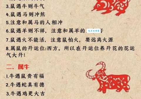 虚惊一场是哪个生肖？民间说法大揭秘！