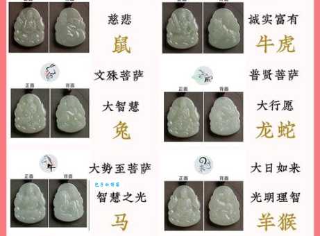 借花献佛对应哪个生肖？最合适的生肖是哪个？