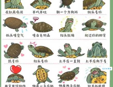 详解龟鹤之年：典故出处、含义及现代用法，你都知道吗？