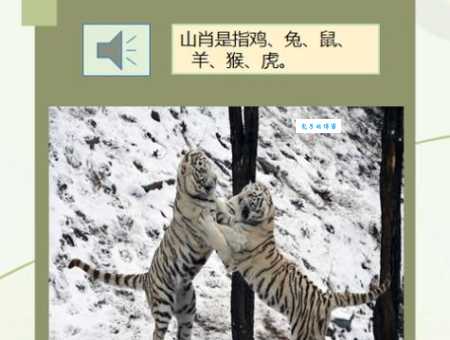 你知道最丑最老的动物是哪个生肖吗？真相令人震惊！