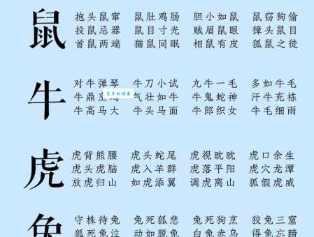 成语木已成舟对应哪个生肖？答案揭晓！