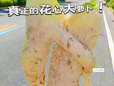 解密动物界“花心大萝卜”：盘点那些见异思迁的家伙
