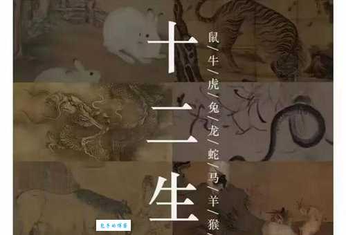 六朝古都打一生肖是什么动物？揭秘答案！