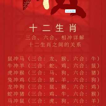 什么生肖与九阴之地最契合？探索生肖与九阴的奥秘