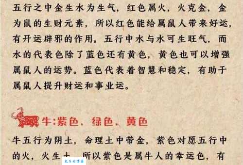 朱雀宫深指的是哪个生肖动物？详解其文化渊源