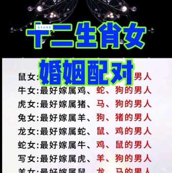 “二八佳人”究竟是哪种生肖？带你一探究竟