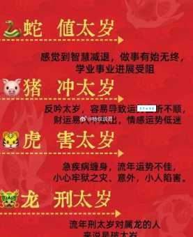 梅花三弄猜生肖：你认为最佳答案是什么？