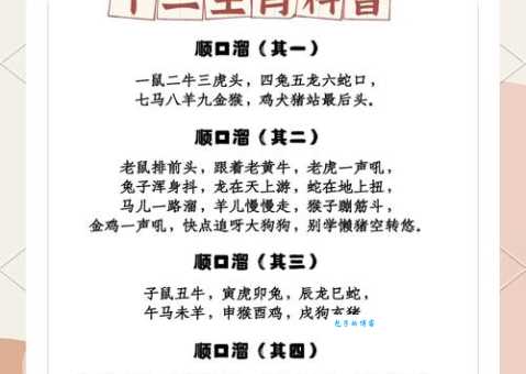 一枝独秀是什么生肖？答案揭晓，带你了解生肖文化