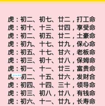 敲山震虎打一生肖是什么动物？答案揭晓！