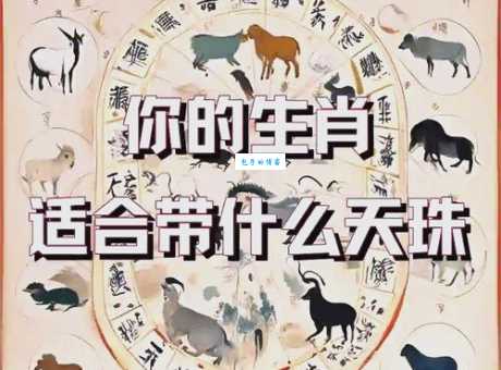 花天酒地究竟是哪个生肖？揭秘生肖与生活方式的关联