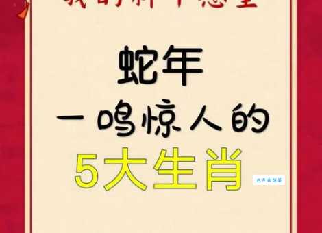 千里奔波一日回是什么生肖？答案揭晓！