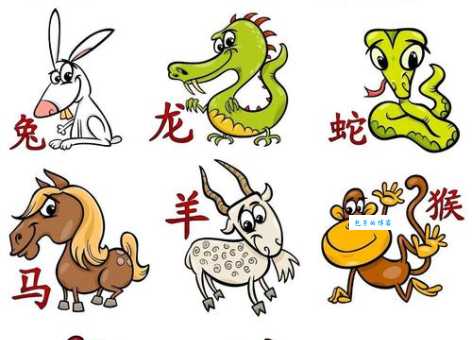 能文能武是什么生肖？十二生肖里谁文武双全？