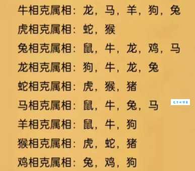 不安本分是什么生肖？猴、虎、蛇是典型代表吗？