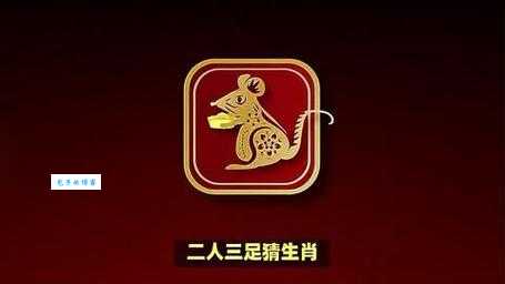 二人三足打一生肖是什么动物？答案揭晓！