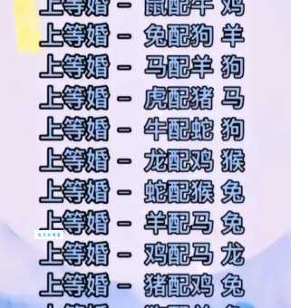 众志成城代表什么生肖？一起来看看！