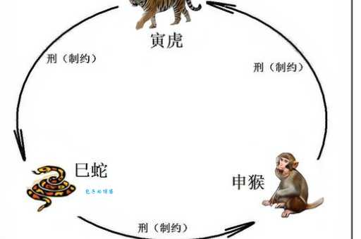所向无敌是什么生肖？龙虎蛇猴哪个最厉害？