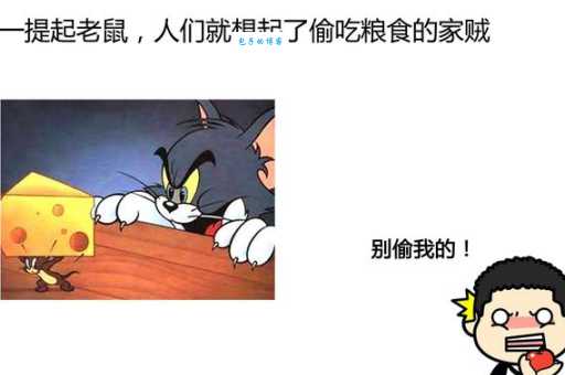 人人喊打是什么生肖？揭秘“过街老鼠”的真实身份！