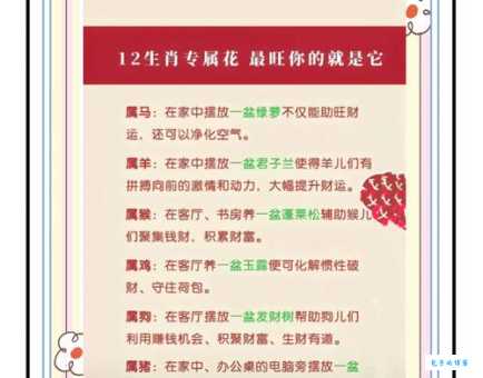 百花盛开猜生肖：是鸡还是虎？答案揭晓！