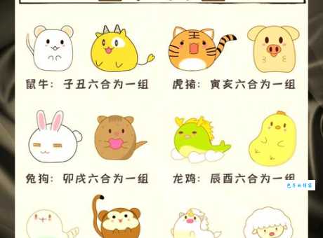 三番四次是什么生肖？狗、猴、鸡哪个更符合？