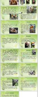 “退避三舍”这个成语指的是什么生肖？