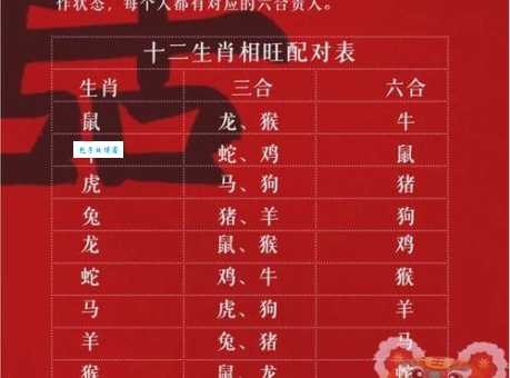 欣喜若狂是什么生肖？快速找到正确答案