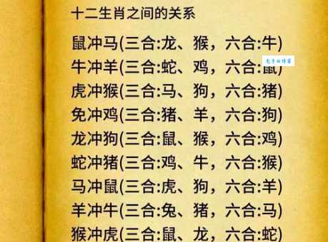 冲锋陷阵代表什么生肖？揭秘生肖性格与冲劲