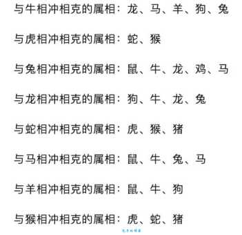 冲锋陷阵代表什么生肖？揭秘生肖性格与冲劲