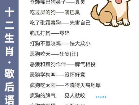 一落千丈是哪个生肖？民间说法大揭秘！