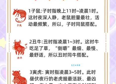 梧鼠五技对应哪个生肖？解谜生肖小知识