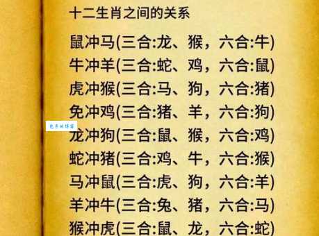 屡战屡败打一生肖，揭秘生肖背后的辛酸史。