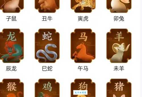 头重脚轻是什么生肖？解析生肖动物体型特征